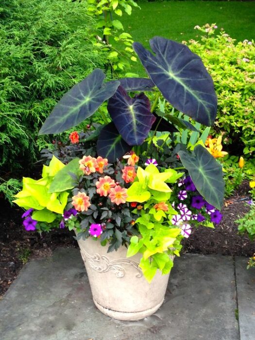 Charming 24+ planter gardening ideas and pot designs